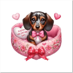 Valentine Dachshund Dog in Bed Posters and Art